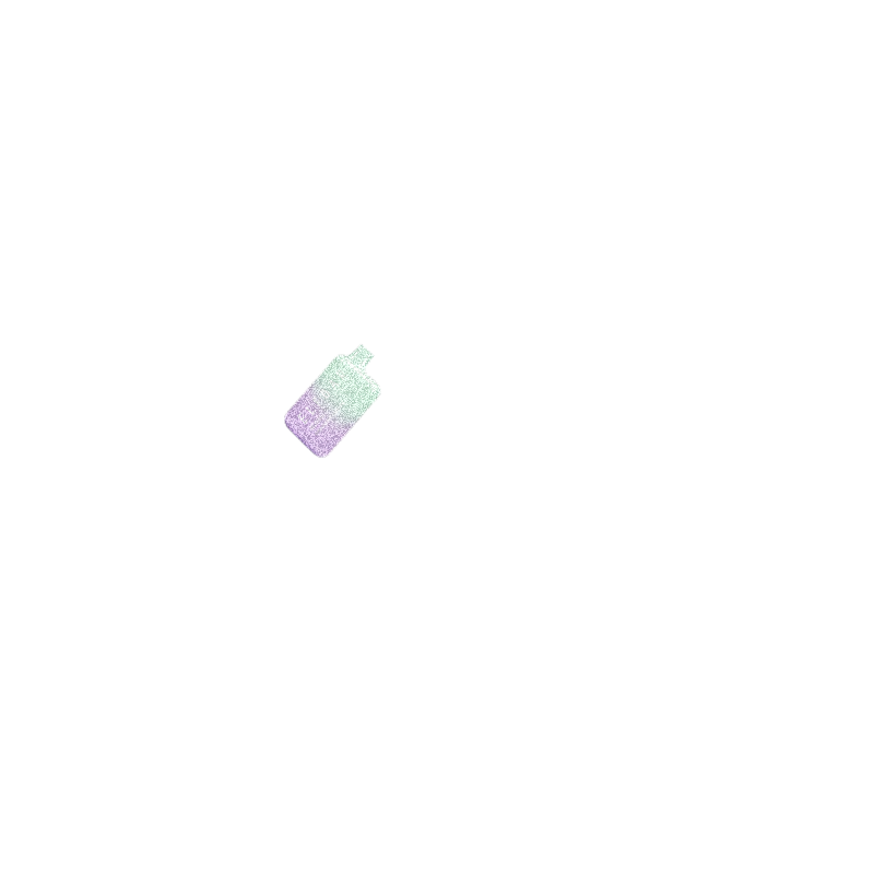 acessory4