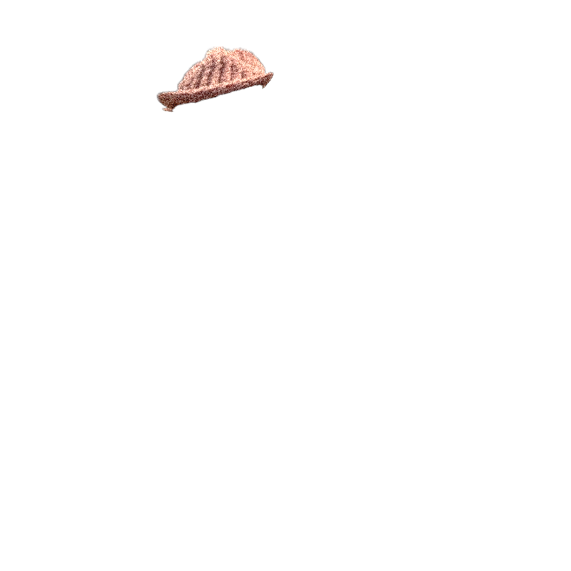 hat3